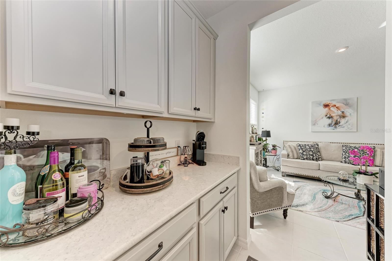 10010 BUCKMAN HALLS DR, PALMETTO, FL, 34221