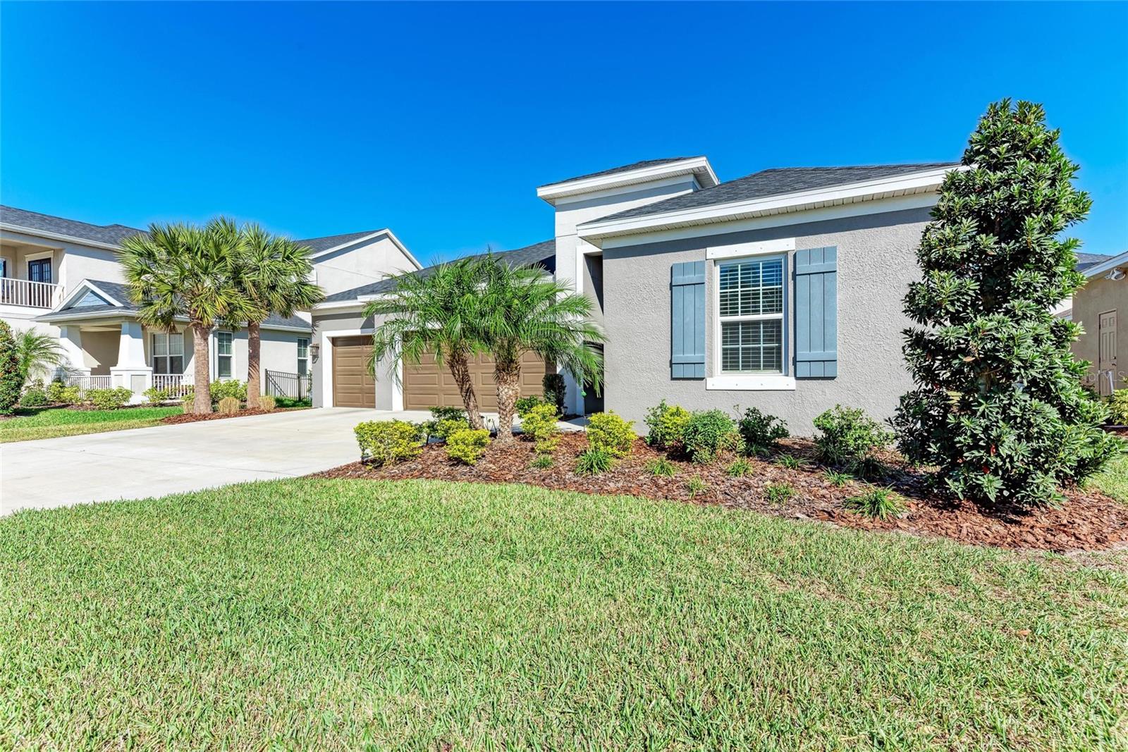 10010 BUCKMAN HALLS DR, PALMETTO, FL, 34221