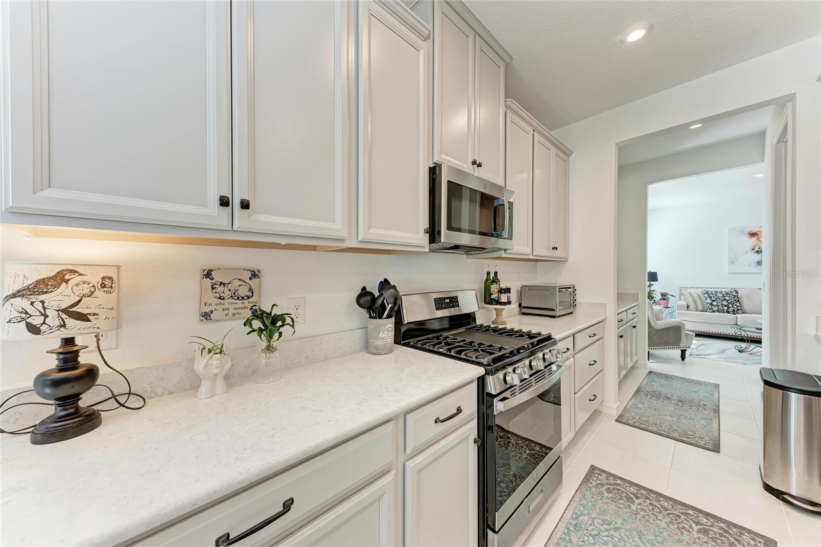 10010 BUCKMAN HALLS DR, PALMETTO, FL, 34221