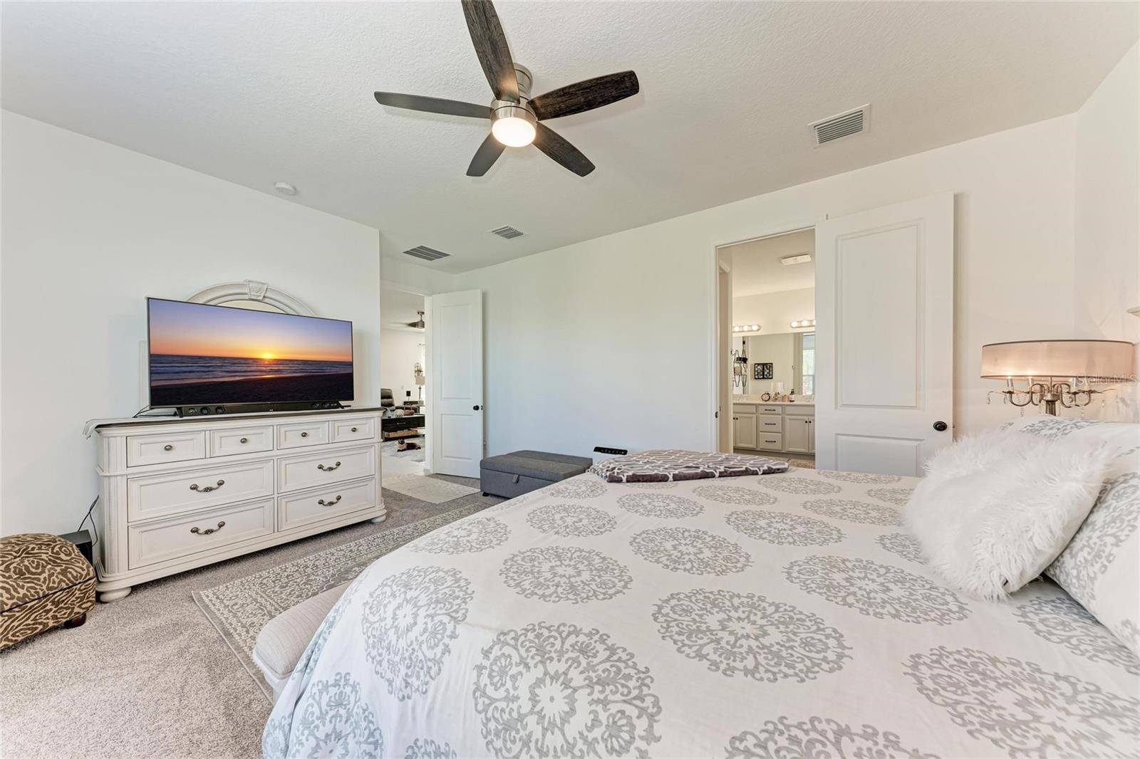 10010 BUCKMAN HALLS DR, PALMETTO, FL, 34221