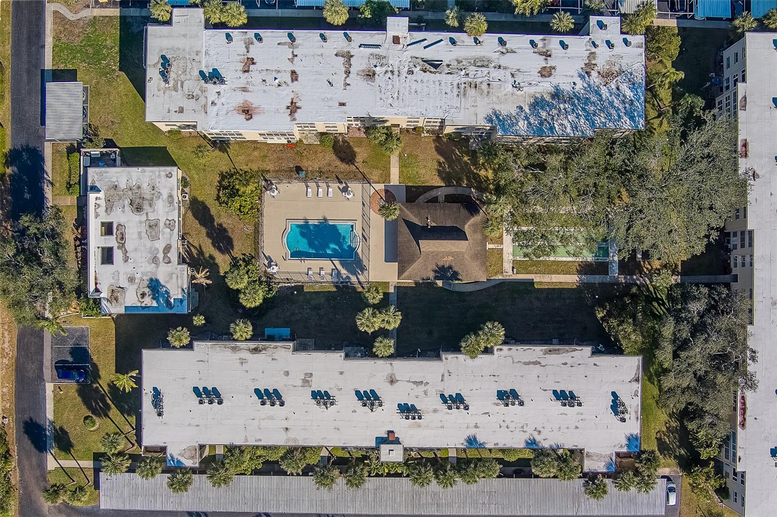 11620 PARK BLVD #306, SEMINOLE, FL, 33772