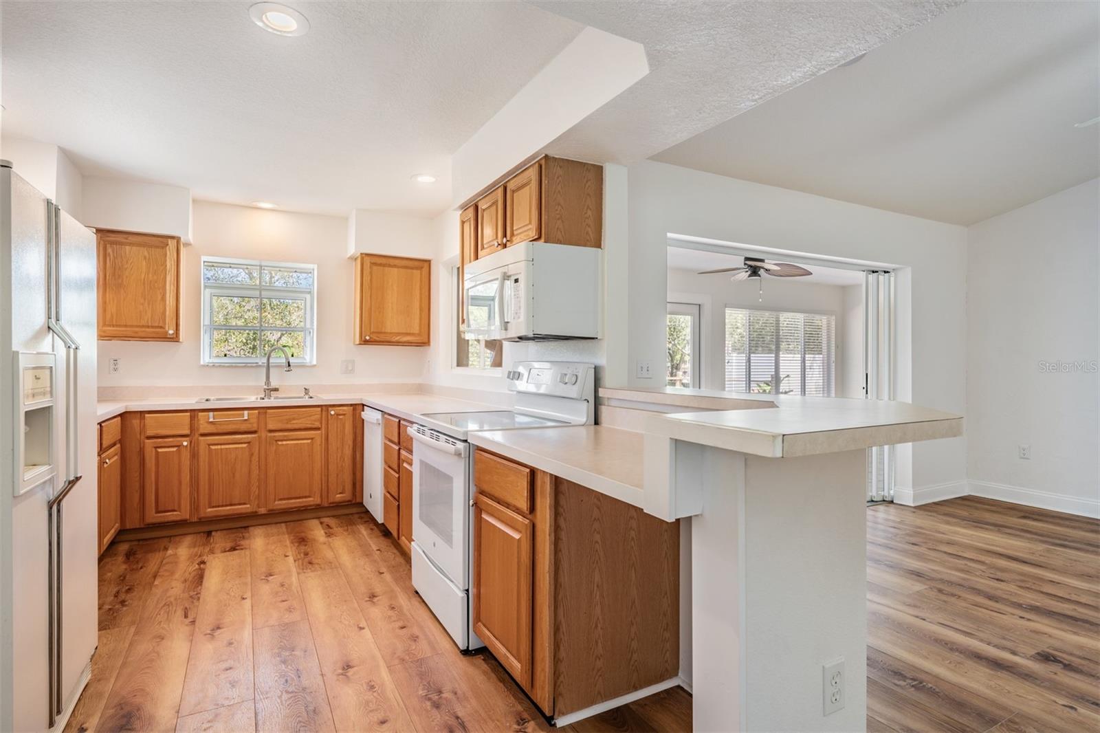 29443 ZELLER AVE, SAN ANTONIO, FL, 33576