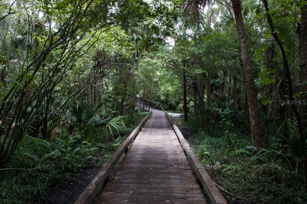 216 SPRINGSIDE RD, LONGWOOD, FL, 32779