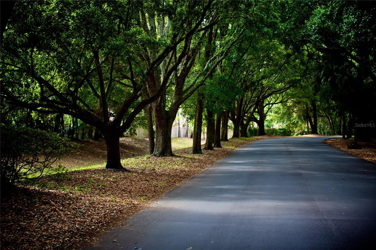 216 SPRINGSIDE RD, LONGWOOD, FL, 32779