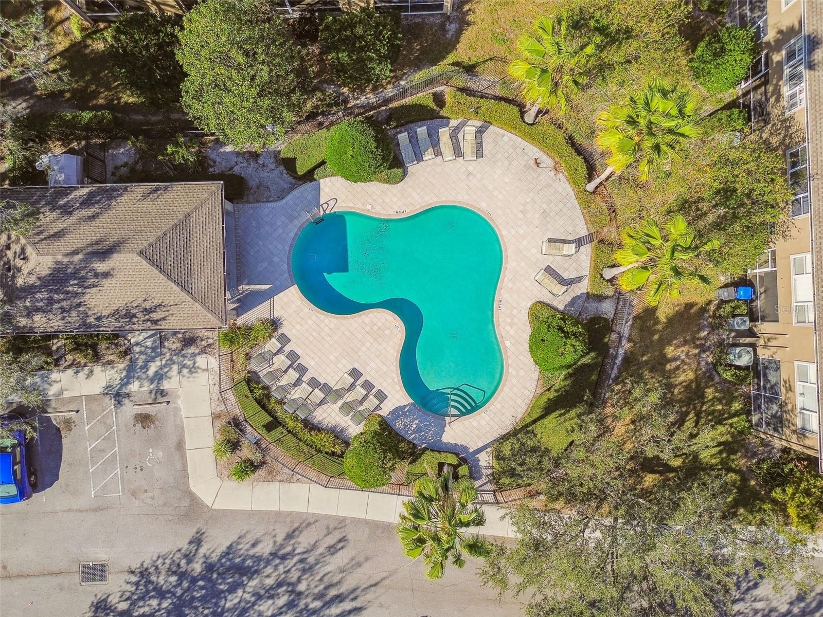 4240 BISMARCK PALM DR, TAMPA, FL, 33610