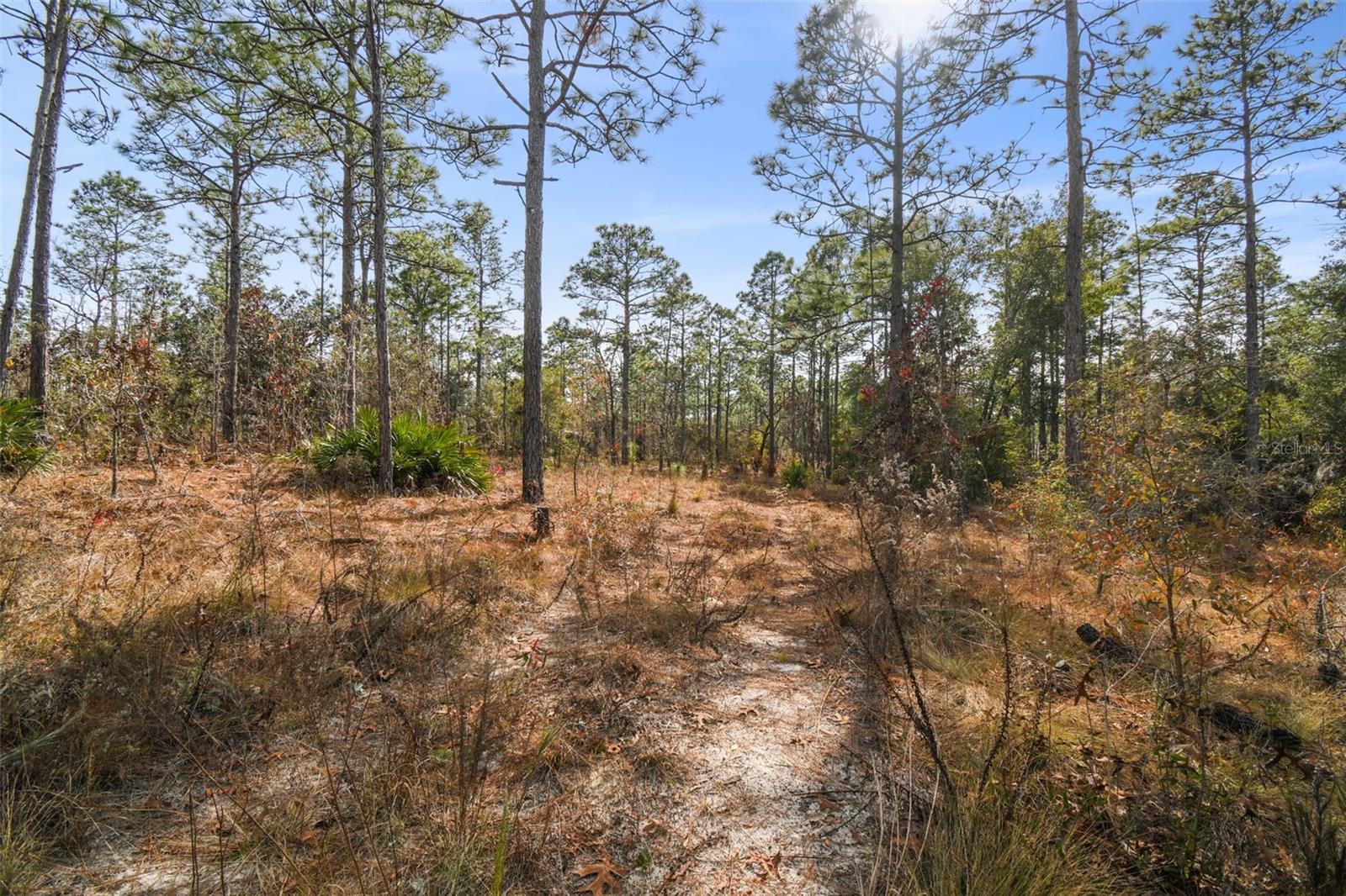 SENECA RD, WEEKI WACHEE, FL, 34614