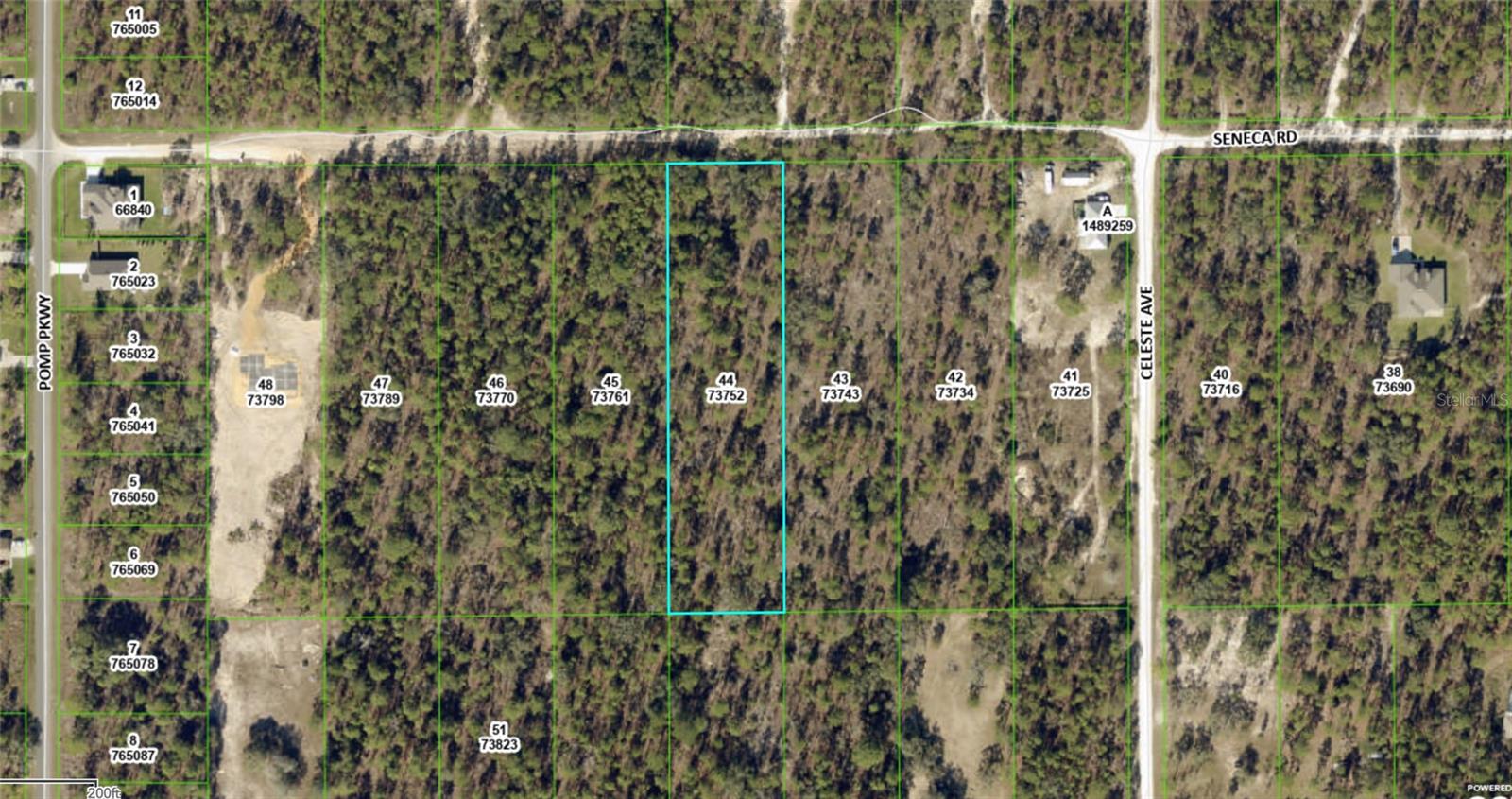 SENECA RD, WEEKI WACHEE, FL, 34614