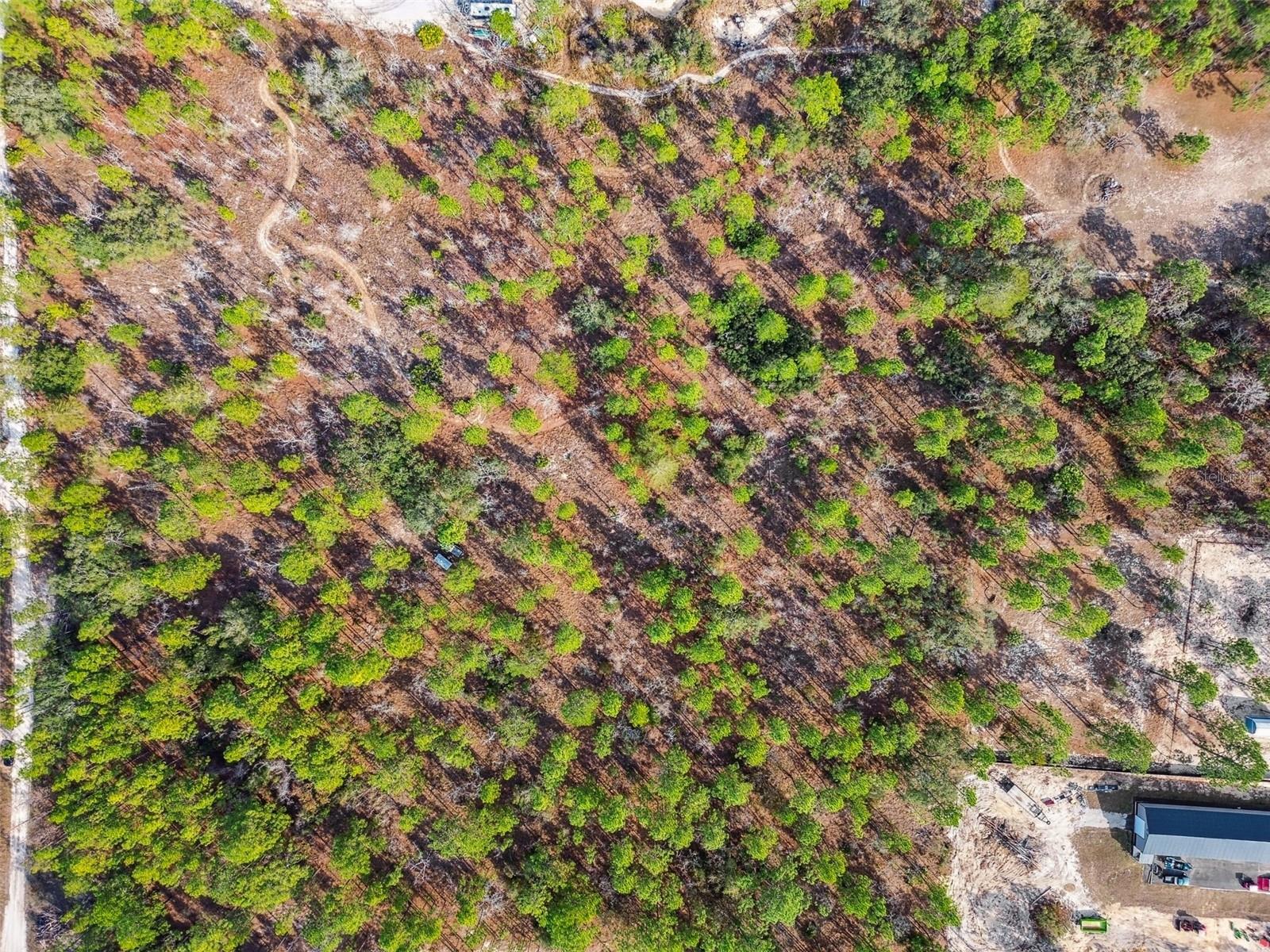 SENECA RD, WEEKI WACHEE, FL, 34614