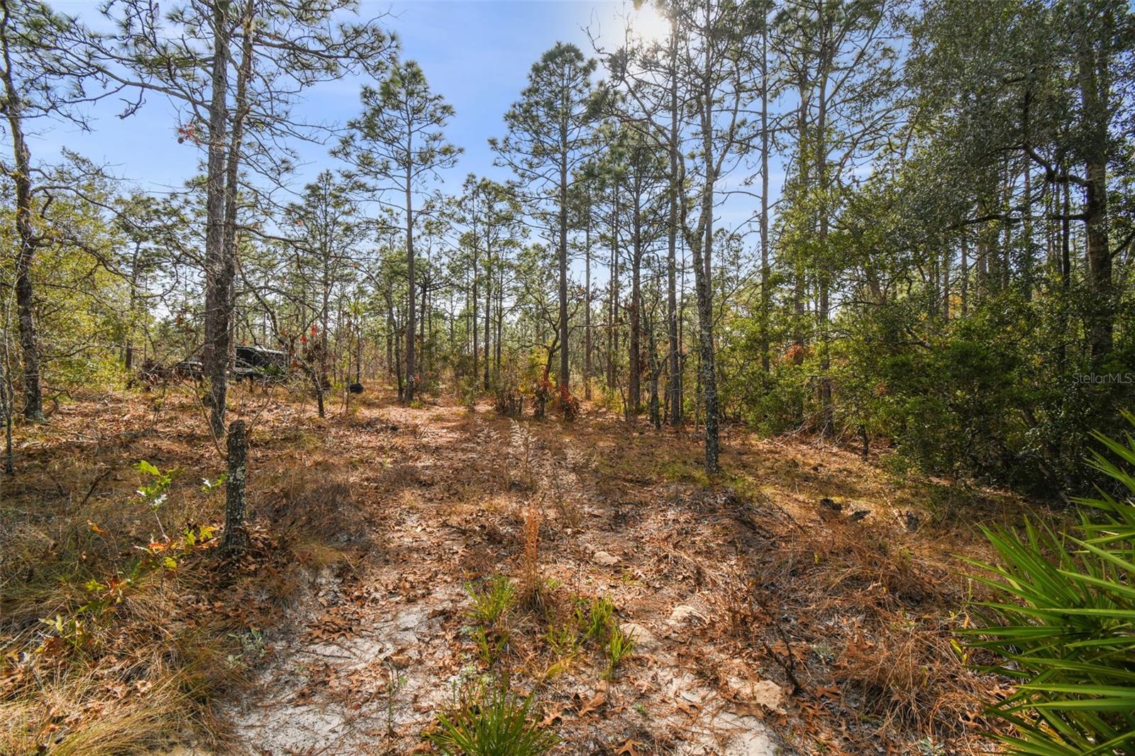 SENECA RD, WEEKI WACHEE, FL, 34614