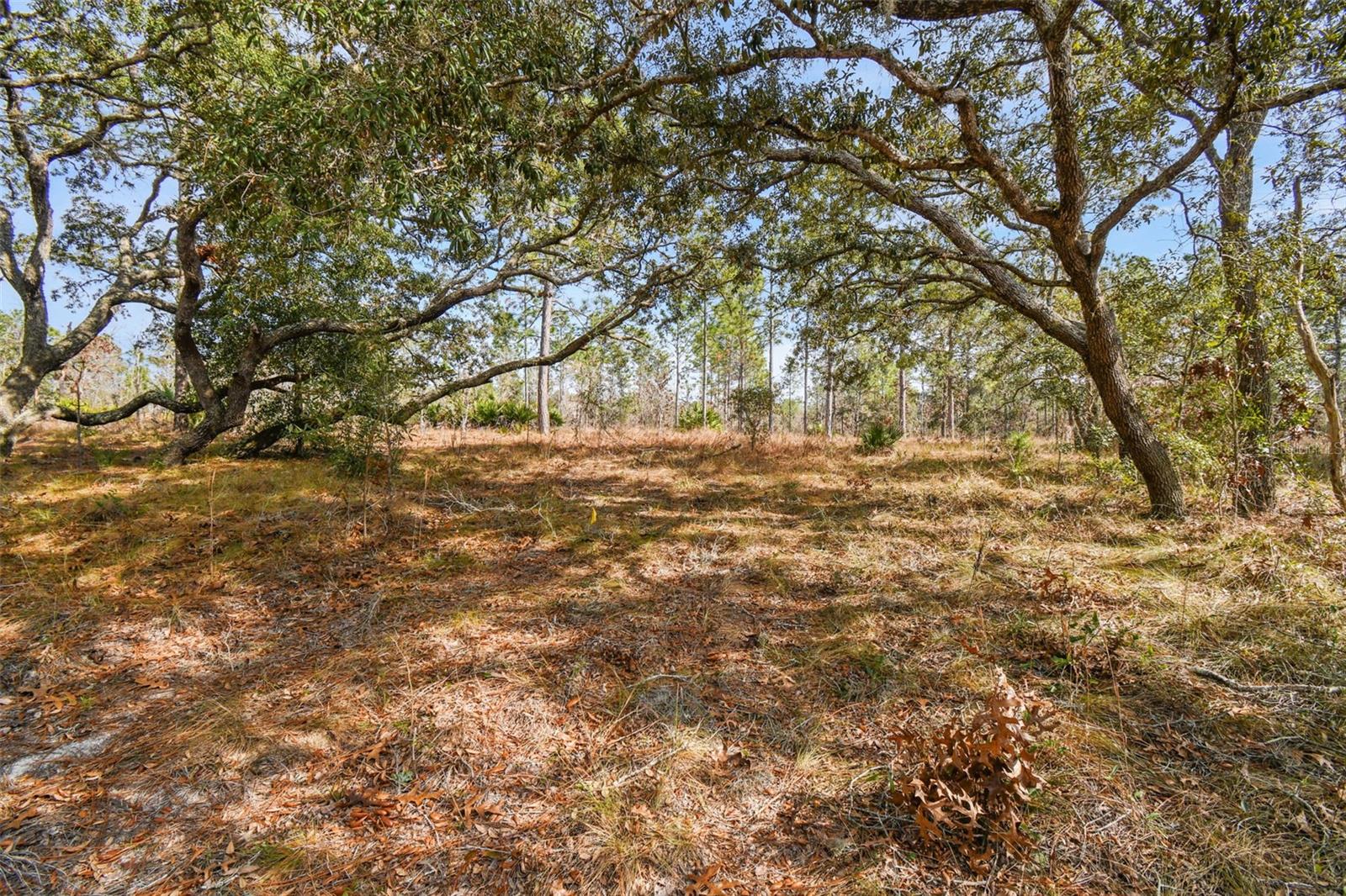 SENECA RD, WEEKI WACHEE, FL, 34614