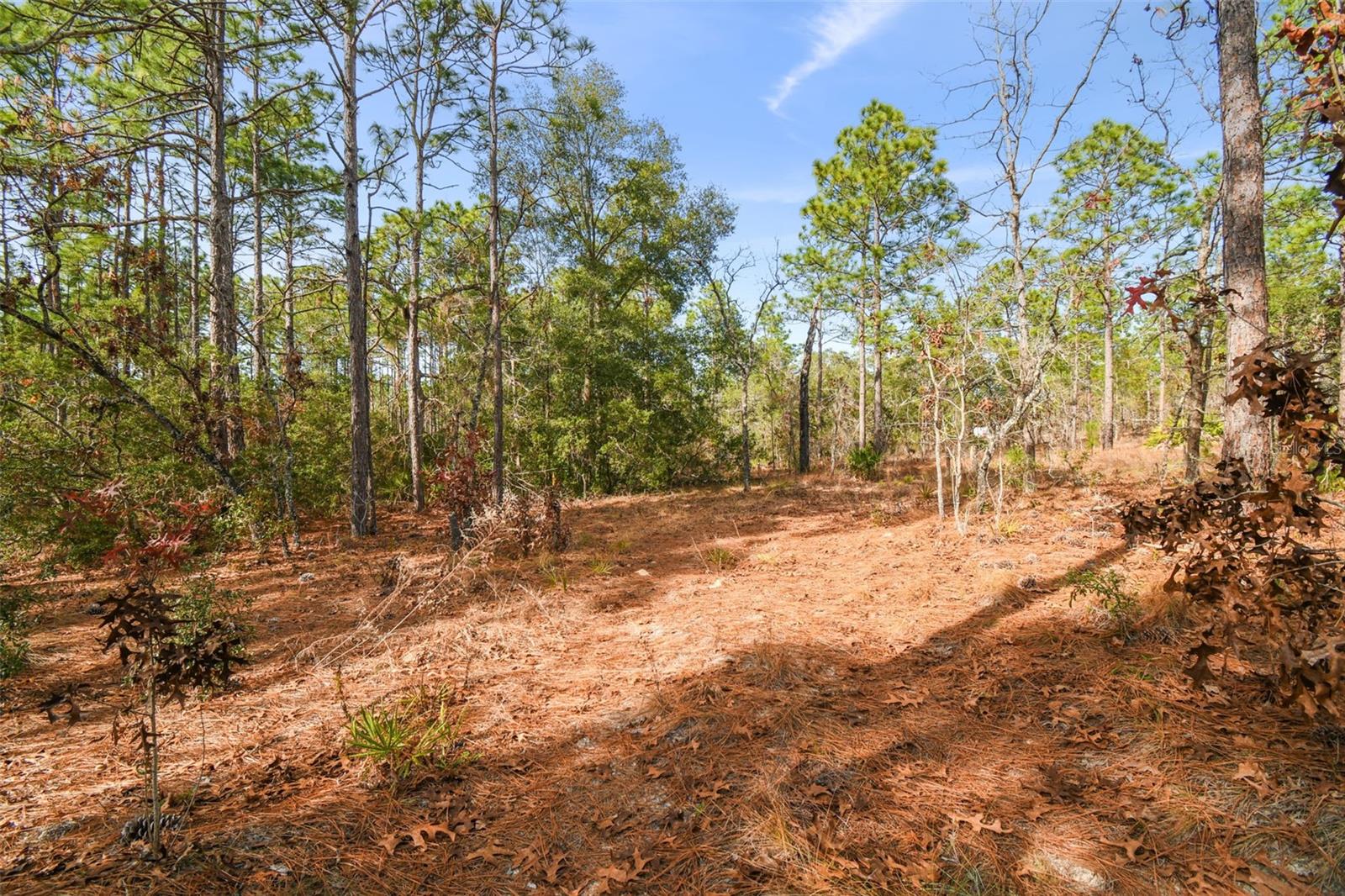 SENECA RD, WEEKI WACHEE, FL, 34614