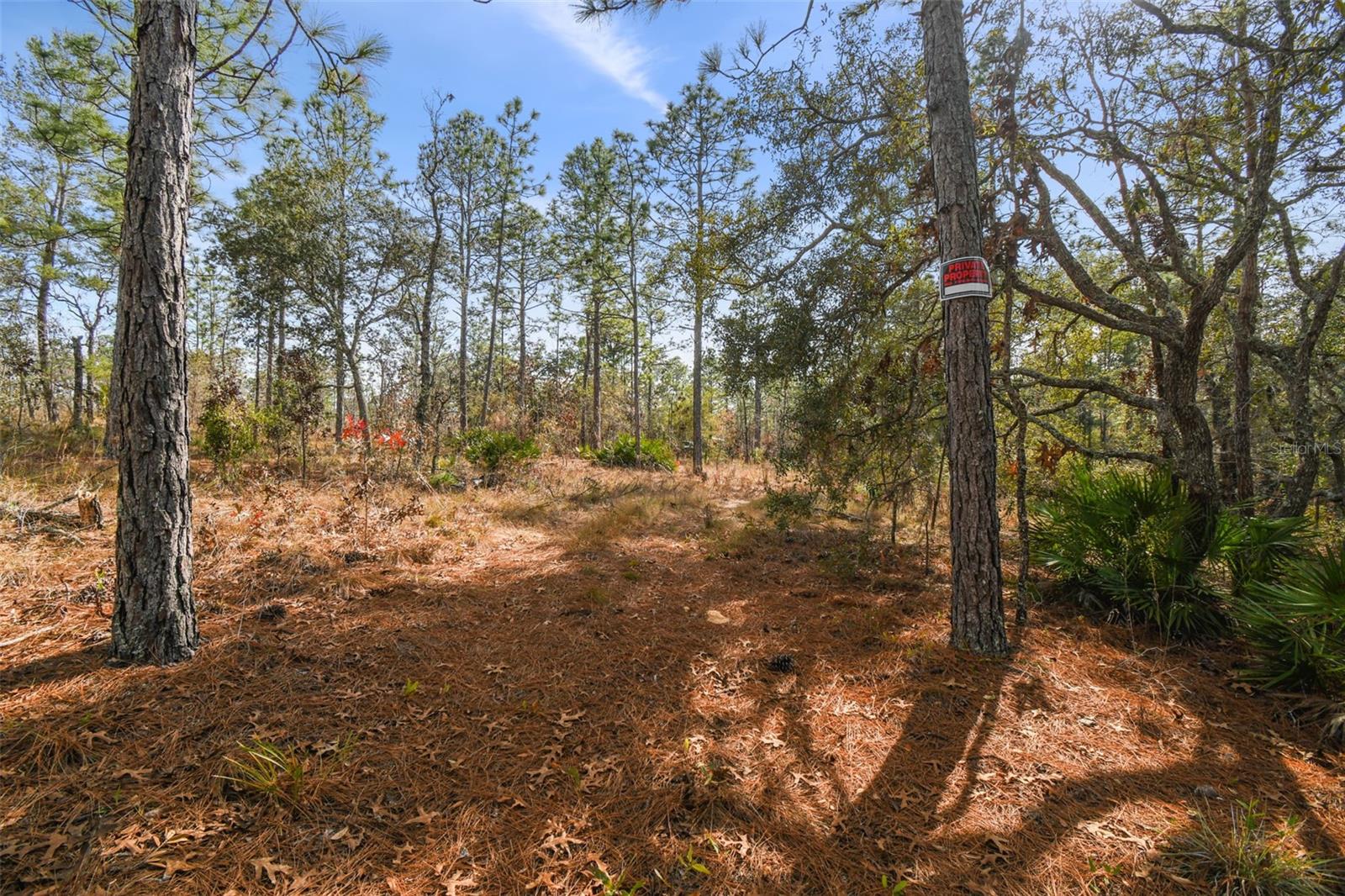 SENECA RD, WEEKI WACHEE, FL, 34614
