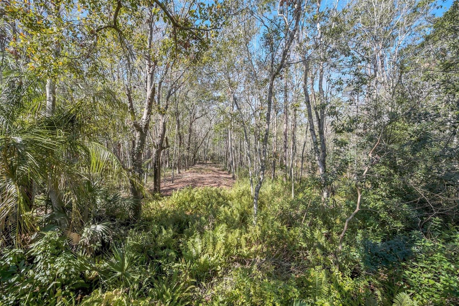 11278 PAPYRUS LN, ORLANDO, FL, 32821