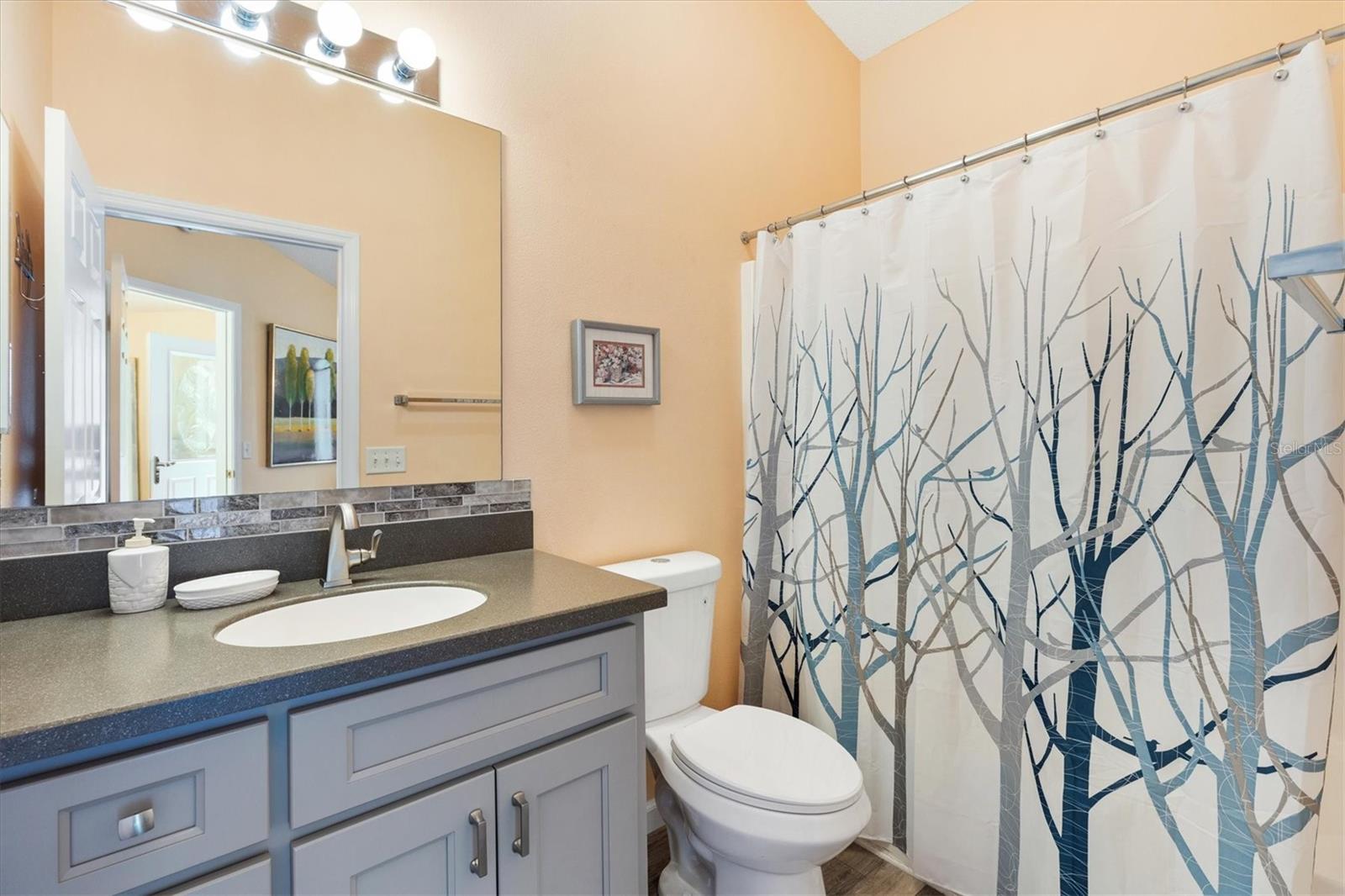 1952 PEACHTREE AVE, THE VILLAGES, FL, 32162