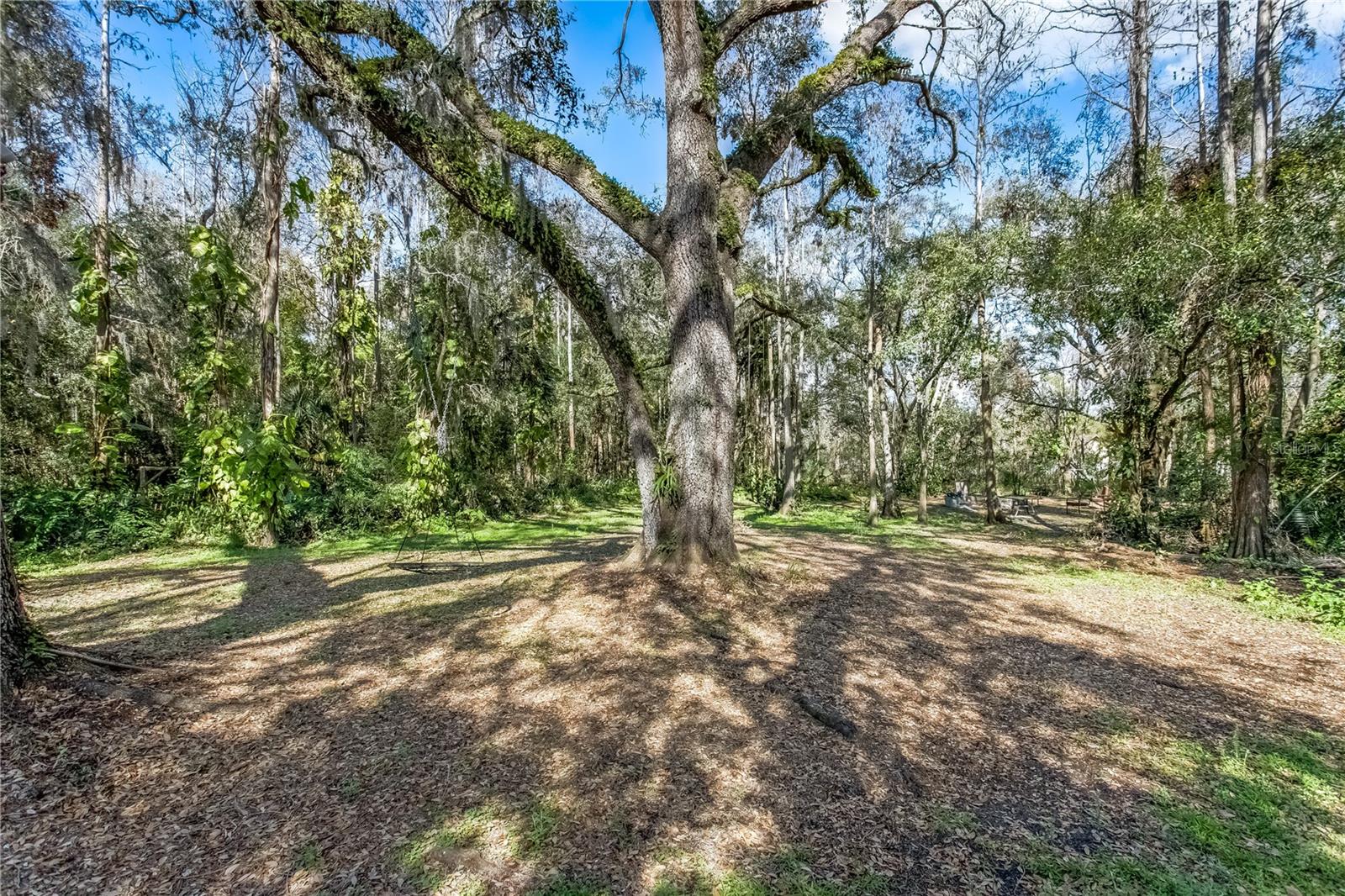 4308 GRAINARY AVE, TAMPA, FL, 33624