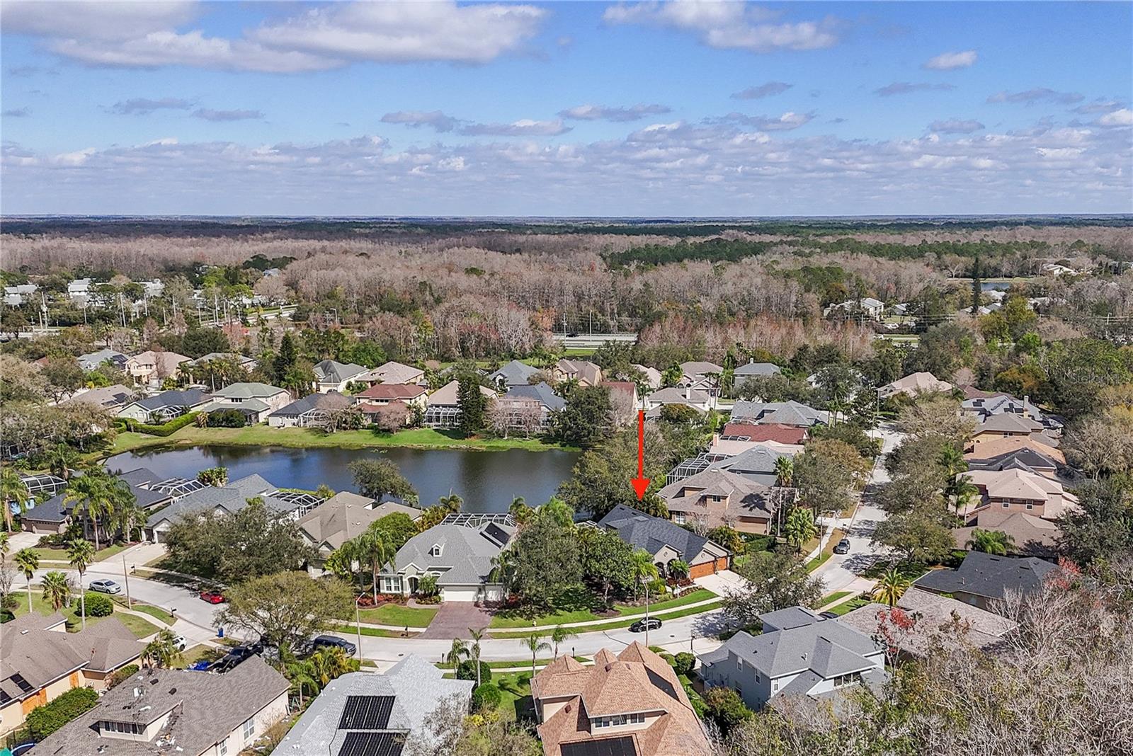 2981 NORTHFIELD DR, TARPON SPRINGS, FL, 34688