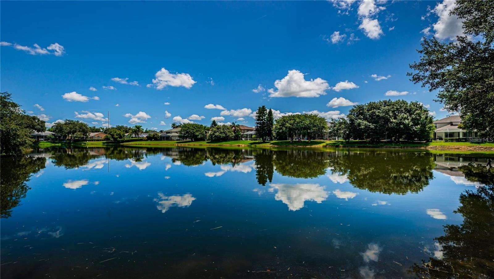 2981 NORTHFIELD DR, TARPON SPRINGS, FL, 34688