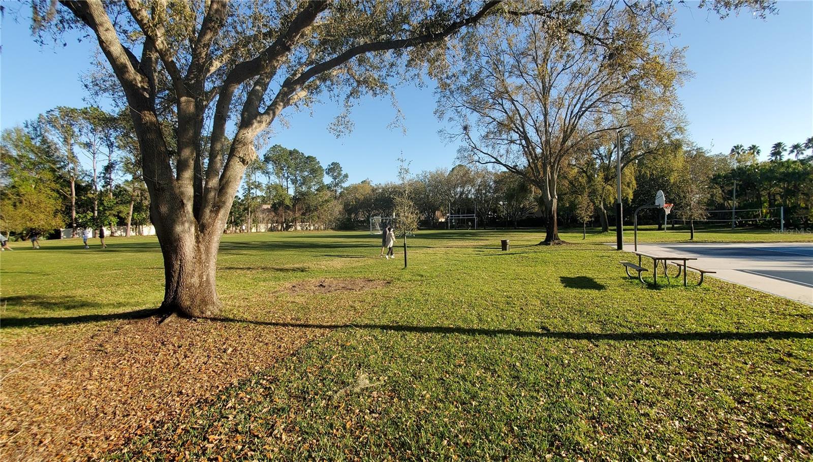 2981 NORTHFIELD DR, TARPON SPRINGS, FL, 34688