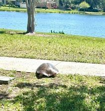 211 MONTEREY ST, POINCIANA, FL, 34759