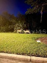 211 MONTEREY ST, POINCIANA, FL, 34759