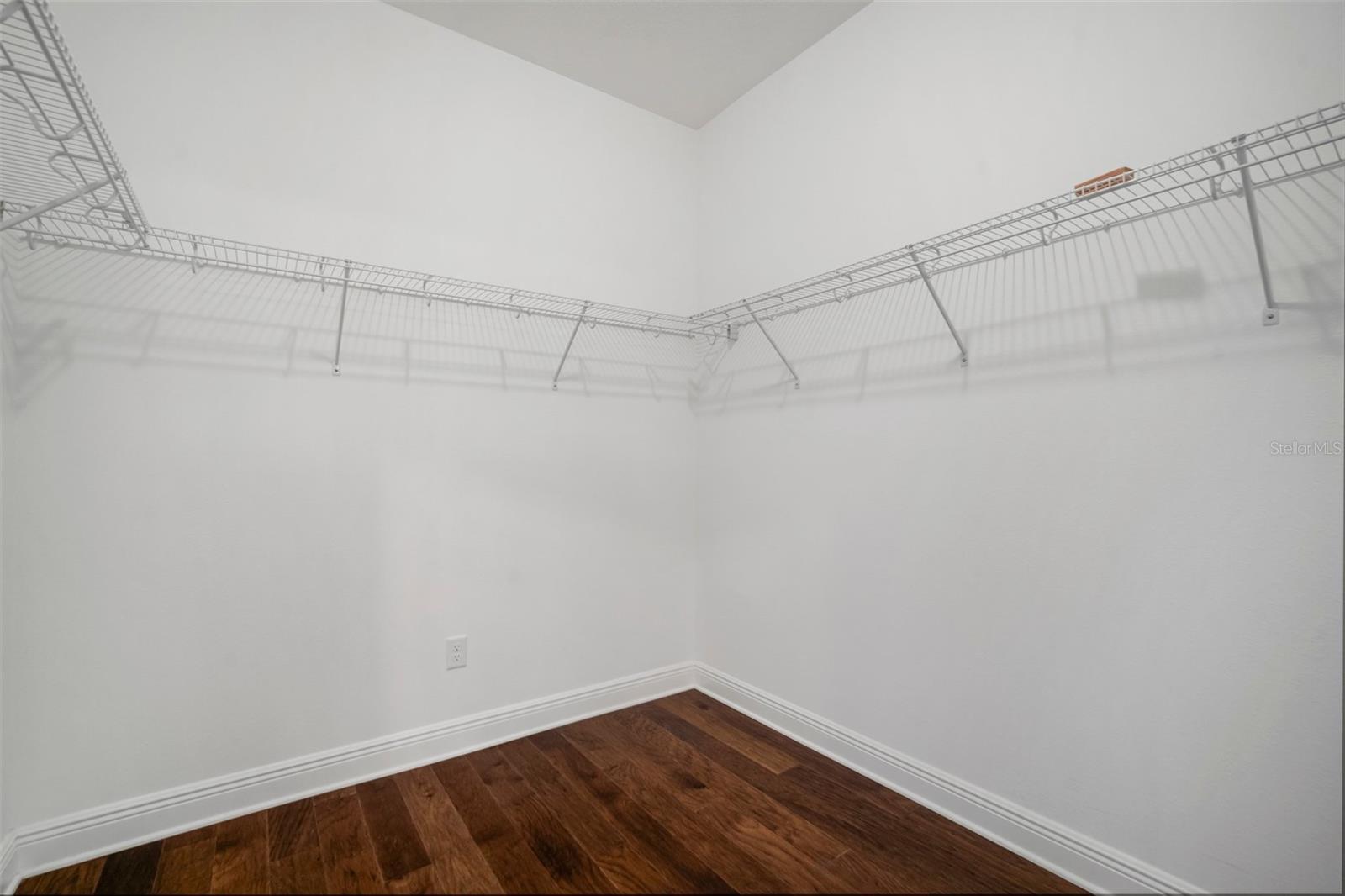 30653 PARROT REEF CT, WESLEY CHAPEL, FL, 33545