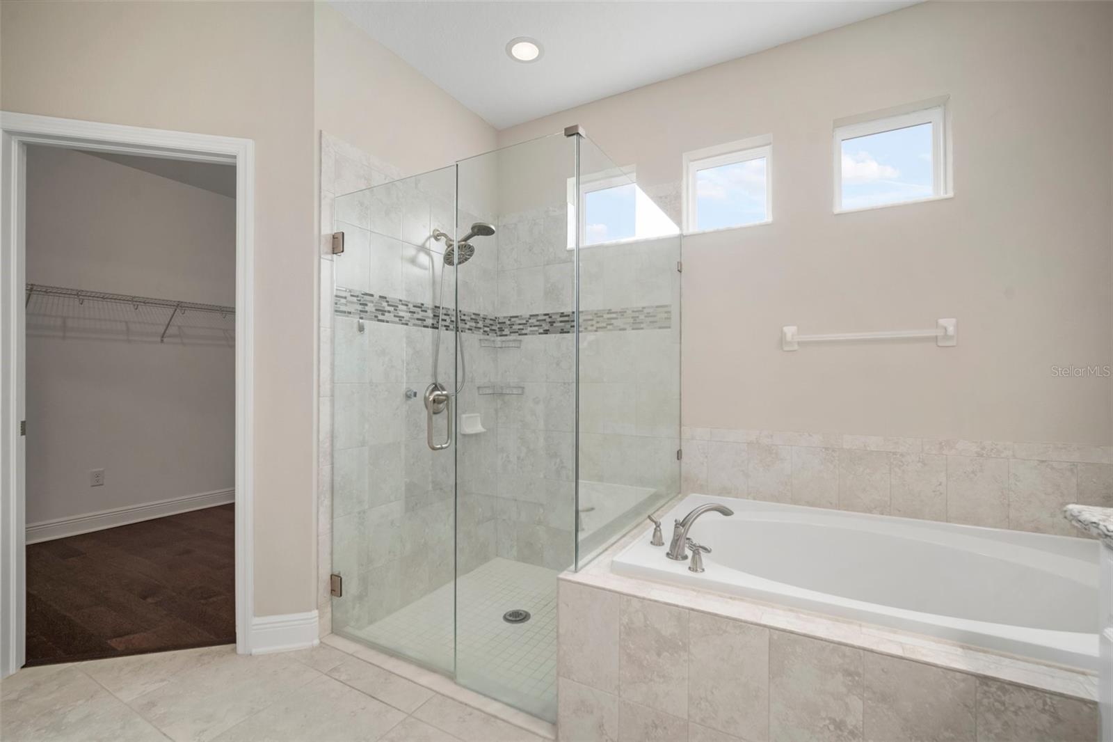 30653 PARROT REEF CT, WESLEY CHAPEL, FL, 33545