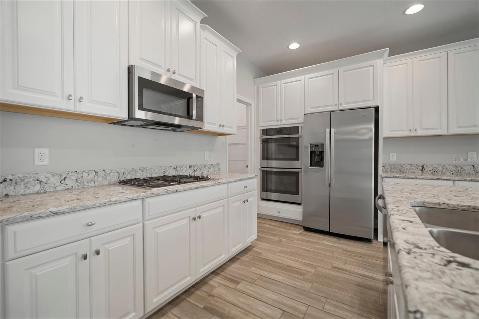 30653 PARROT REEF CT, WESLEY CHAPEL, FL, 33545