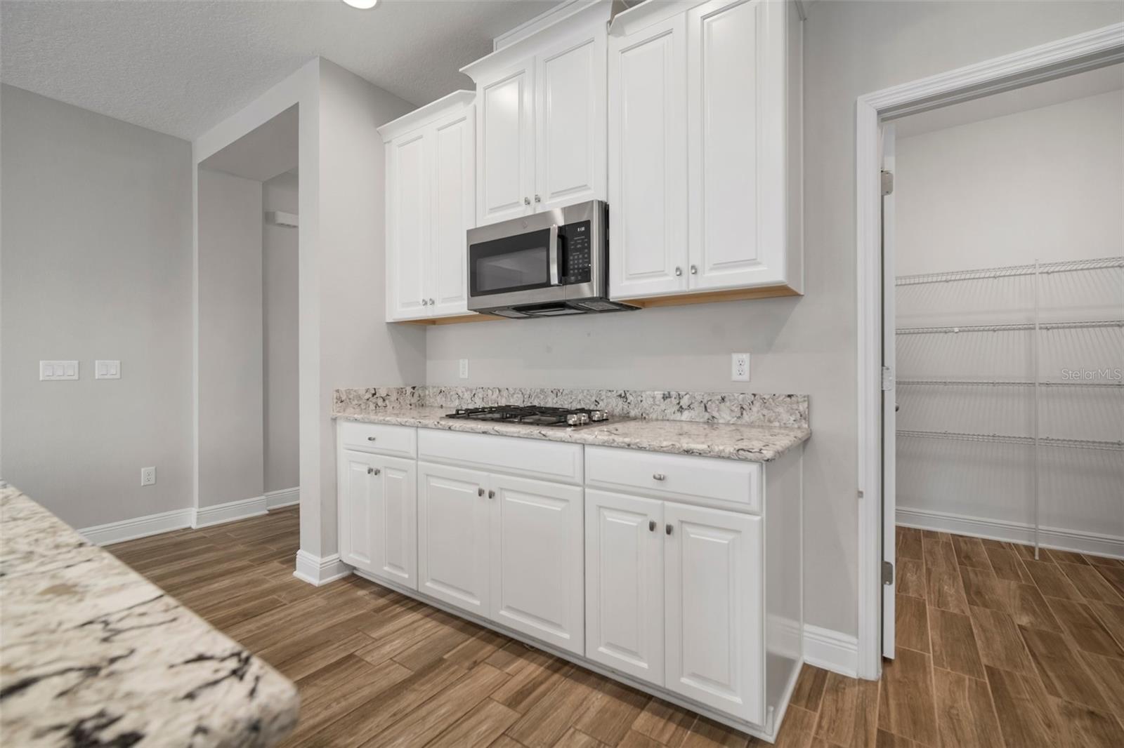 30653 PARROT REEF CT, WESLEY CHAPEL, FL, 33545