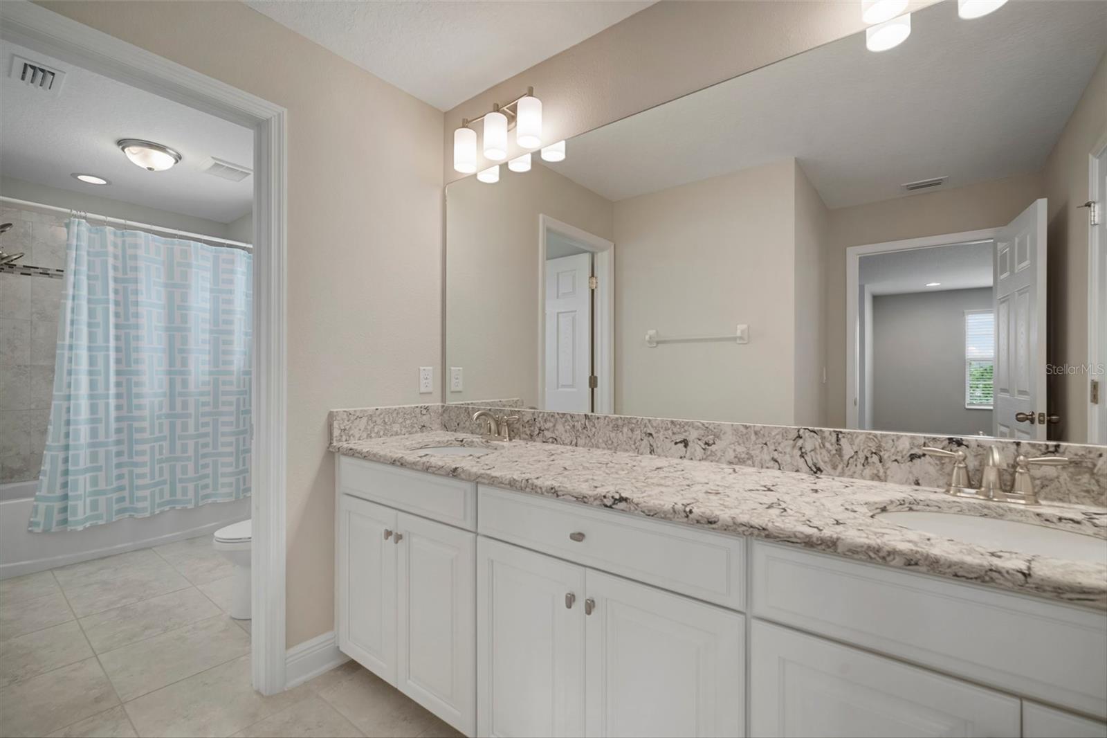 30653 PARROT REEF CT, WESLEY CHAPEL, FL, 33545