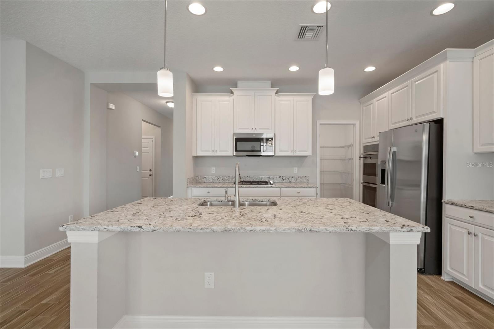 30653 PARROT REEF CT, WESLEY CHAPEL, FL, 33545