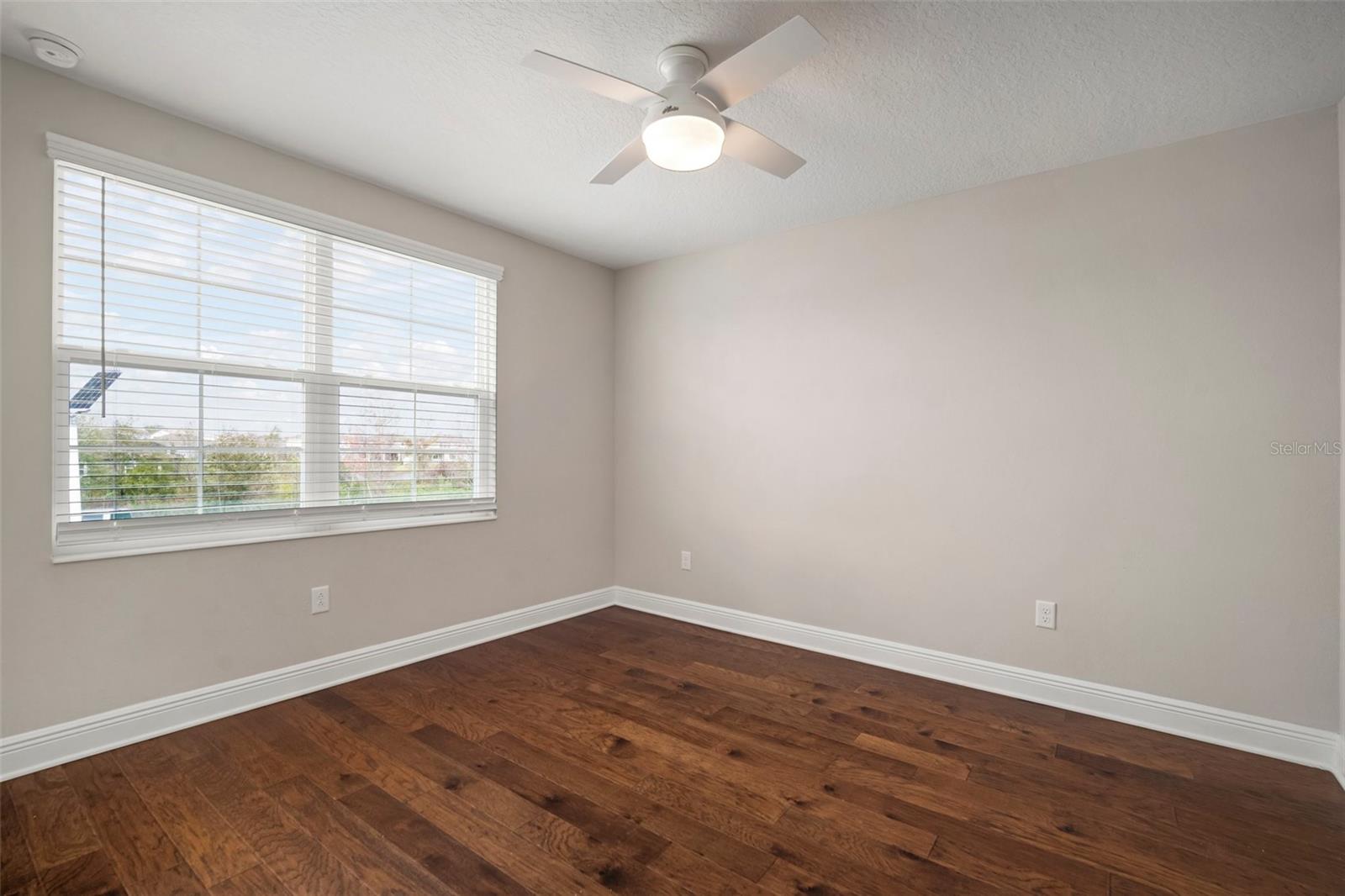 30653 PARROT REEF CT, WESLEY CHAPEL, FL, 33545