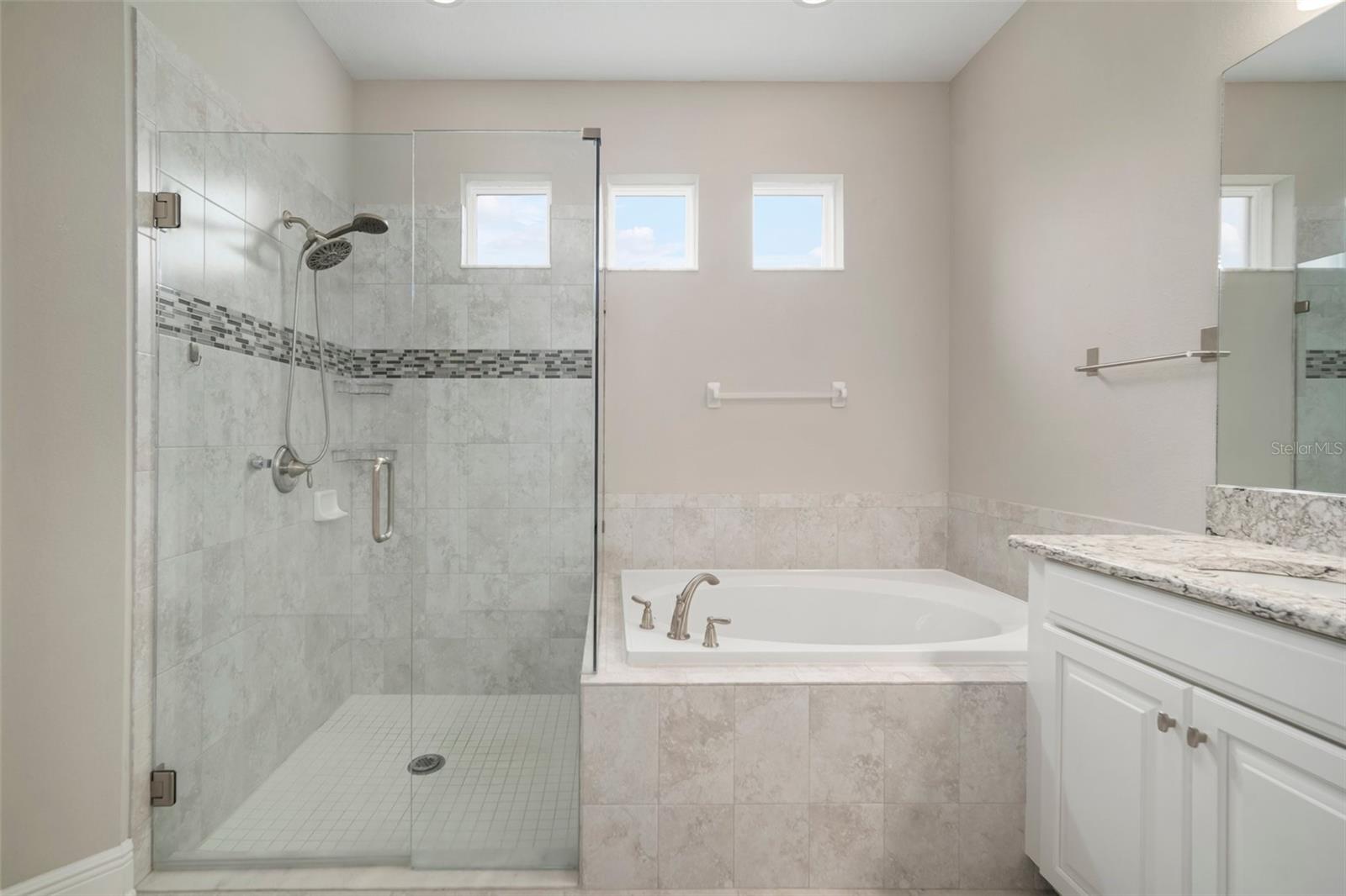 30653 PARROT REEF CT, WESLEY CHAPEL, FL, 33545