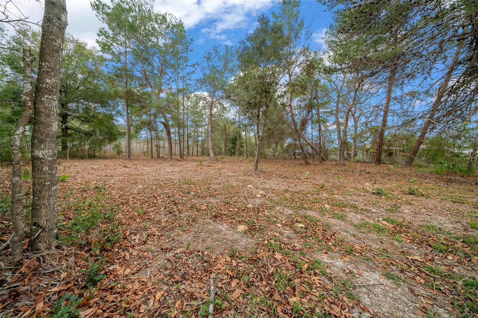 11684 SW 56TH TER, OCALA, FL, 34476