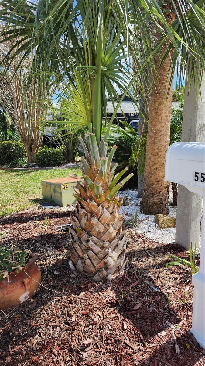 5514 GRIDLEY LN, NEW PORT RICHEY, FL, 34652