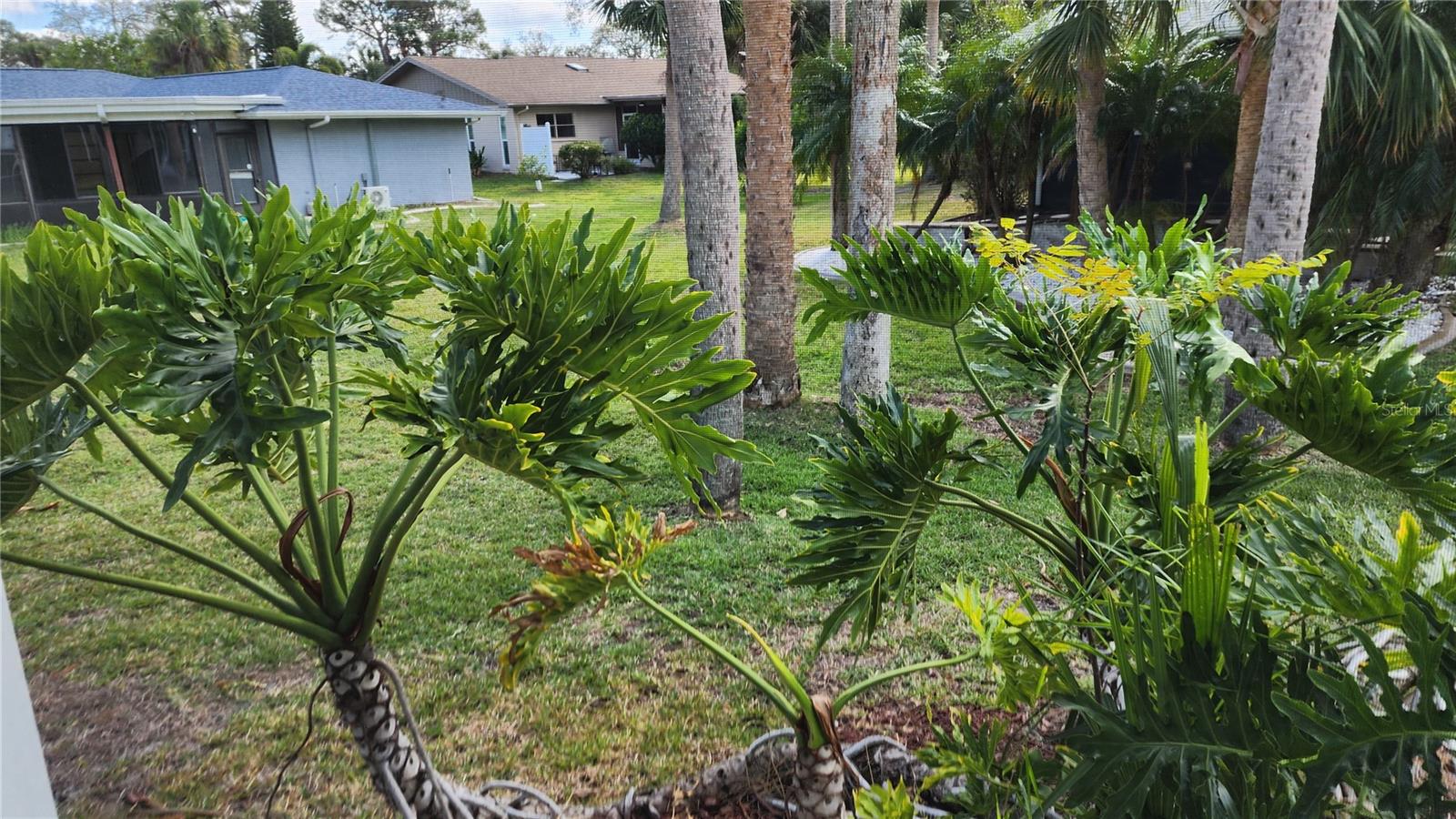 5514 GRIDLEY LN, NEW PORT RICHEY, FL, 34652