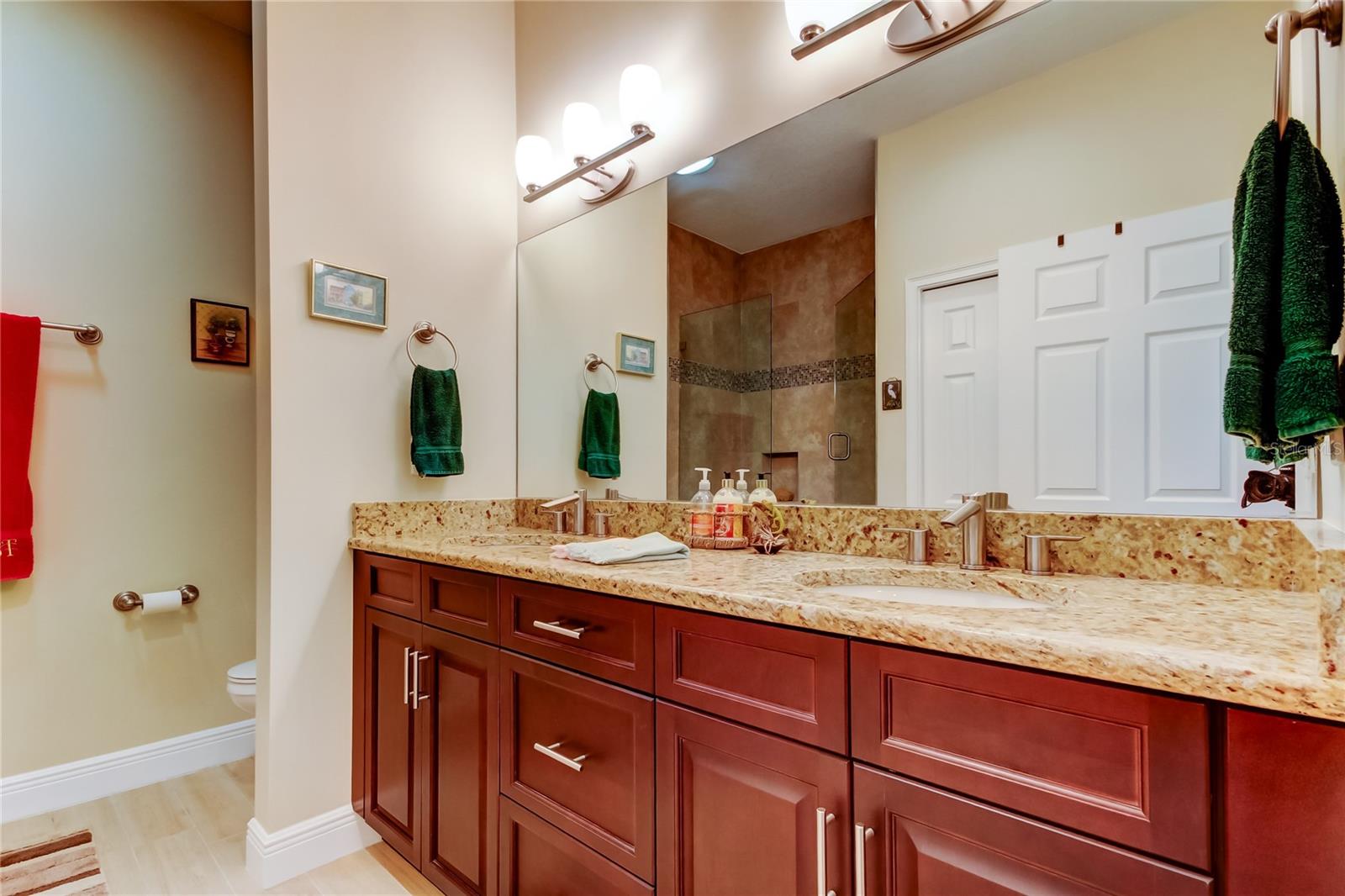 757 DATE PALM LANE, ST PETERSBURG, FL, 33707