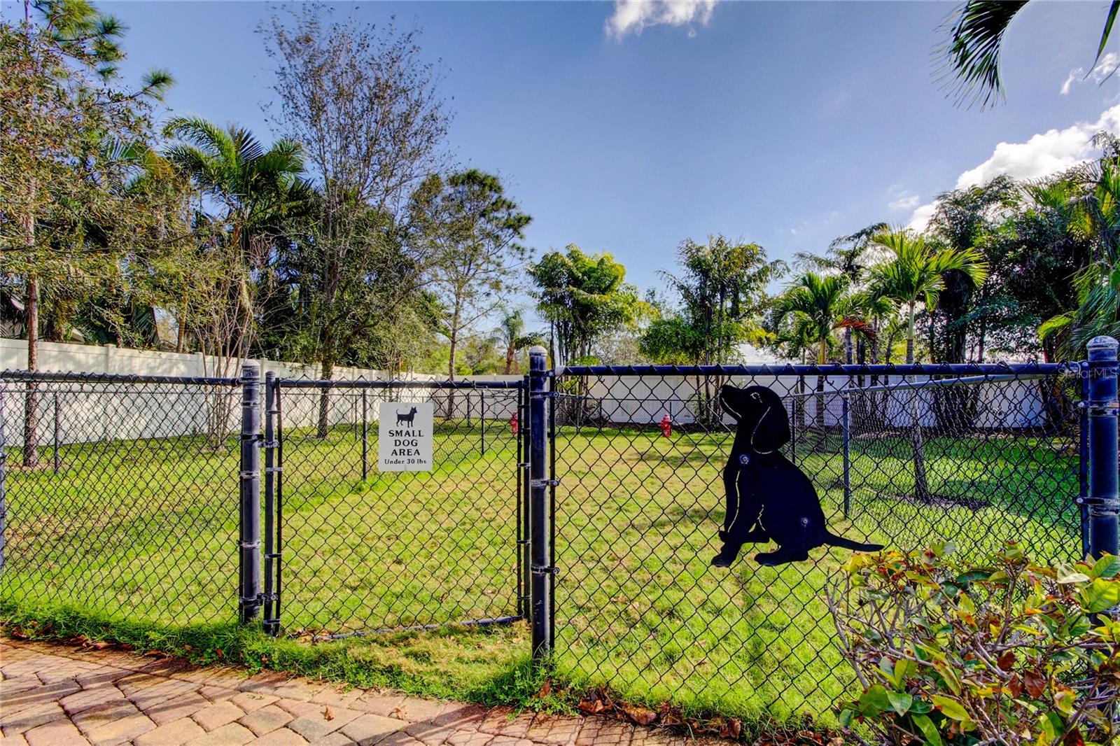 757 DATE PALM LANE, ST PETERSBURG, FL, 33707
