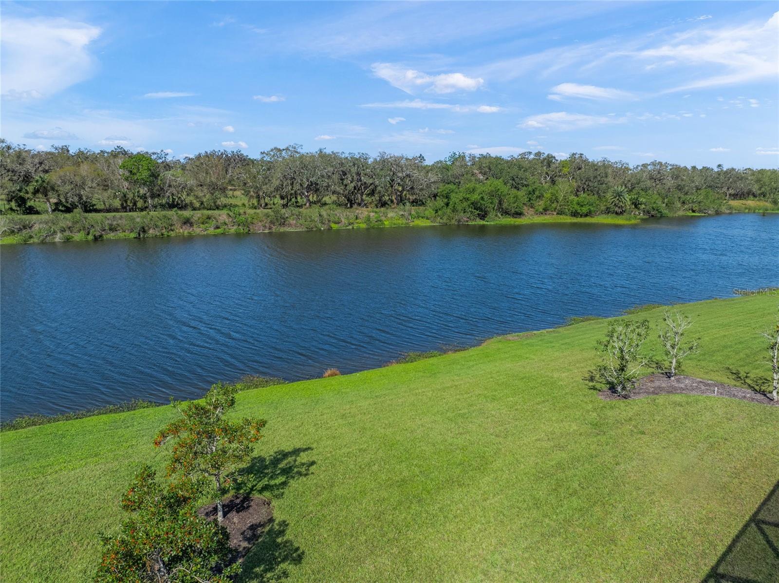8294 BARTON FARMS BLVD, SARASOTA, FL, 34240