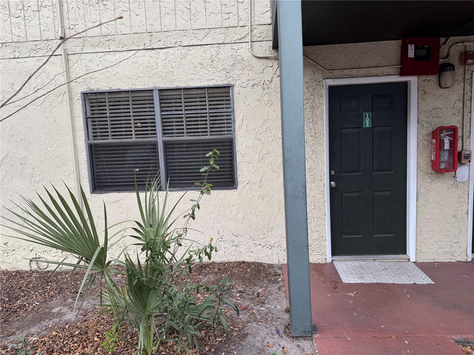 204 PINE TULIP CT #102, TAMPA, FL, 33612