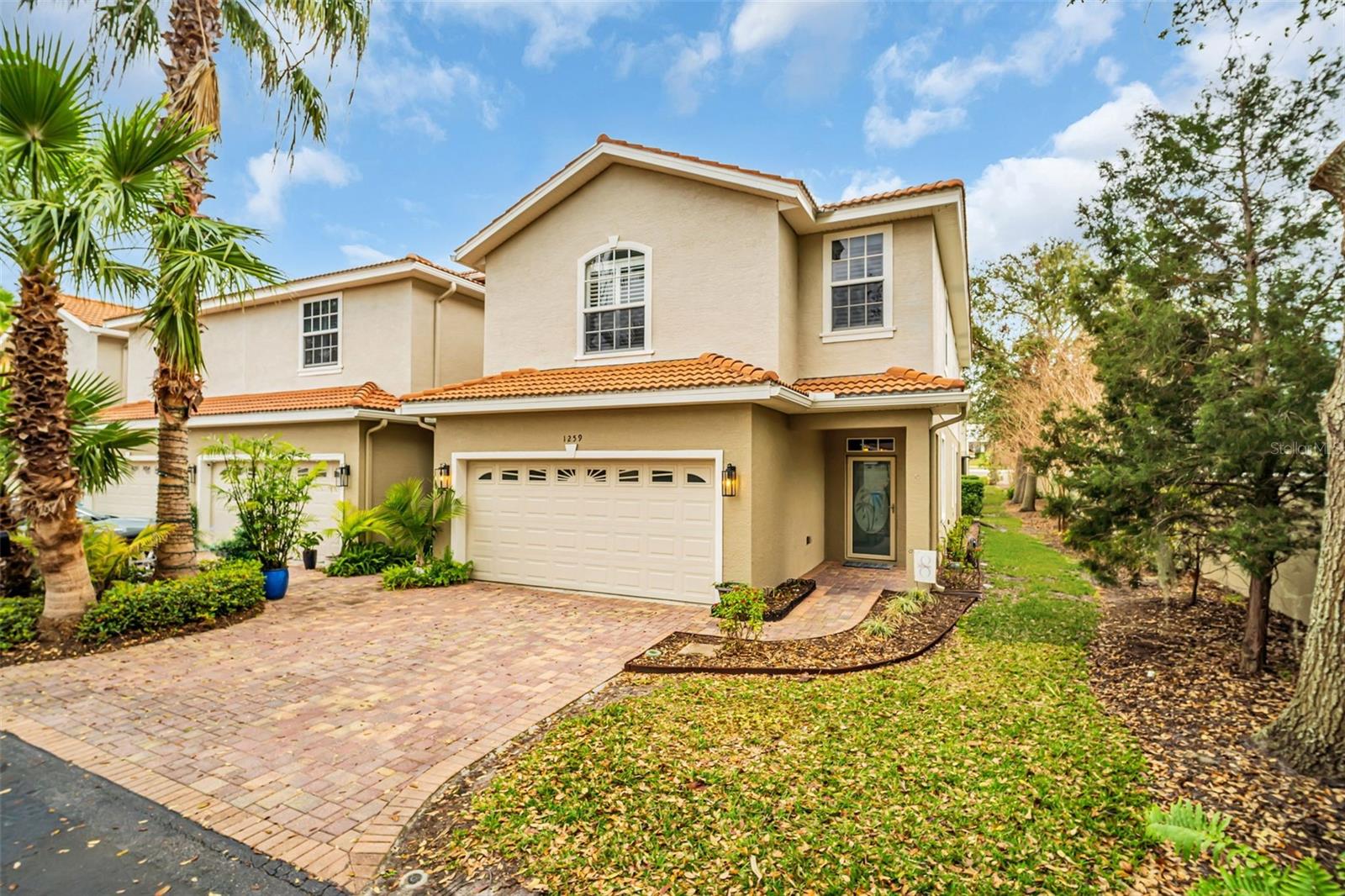 1259 RIBOLLA DR, PALM HARBOR, FL, 34683