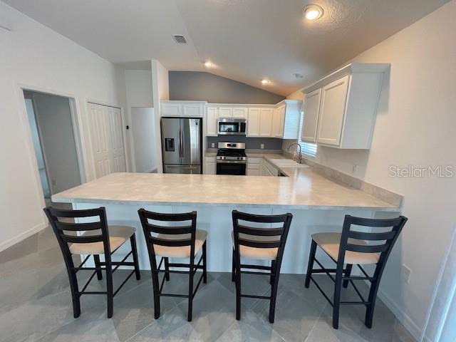 580 KAOLIN PATH, THE VILLAGES, FL, 32163