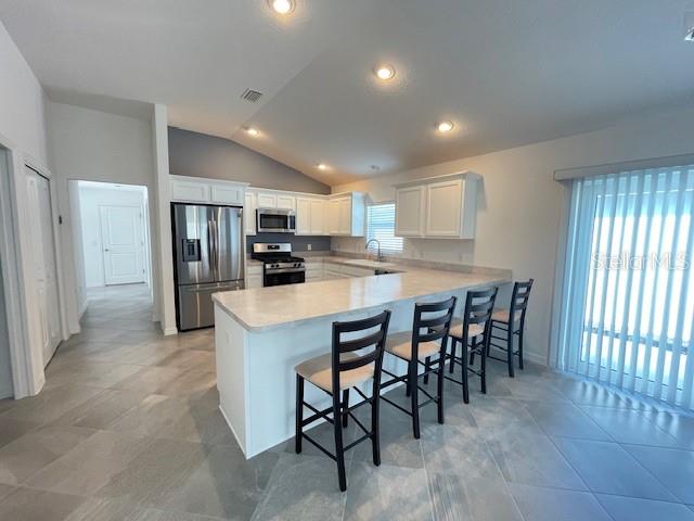 580 KAOLIN PATH, THE VILLAGES, FL, 32163