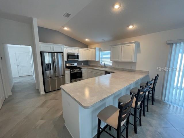 580 KAOLIN PATH, THE VILLAGES, FL, 32163