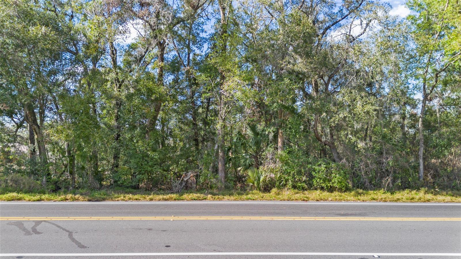 25841 STATE ROAD 46, SORRENTO, FL, 32776