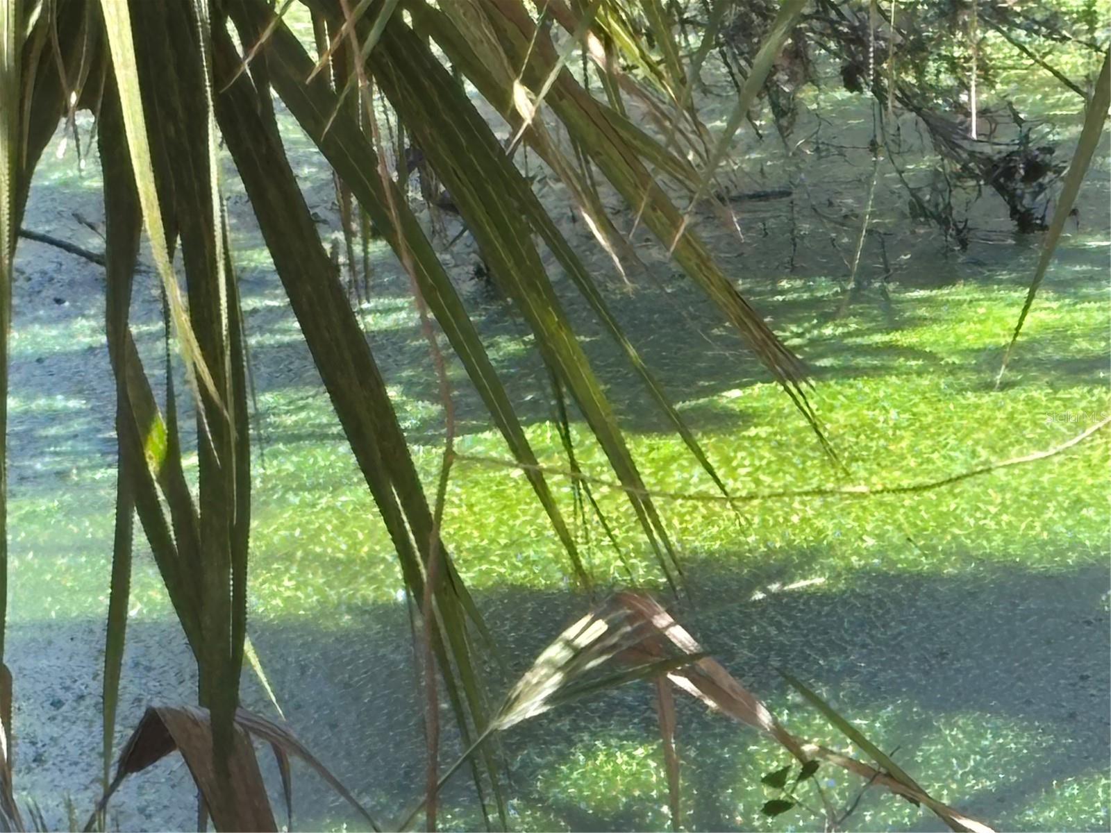 4050 ROCK CREEK DR, PORT CHARLOTTE, FL, 33948