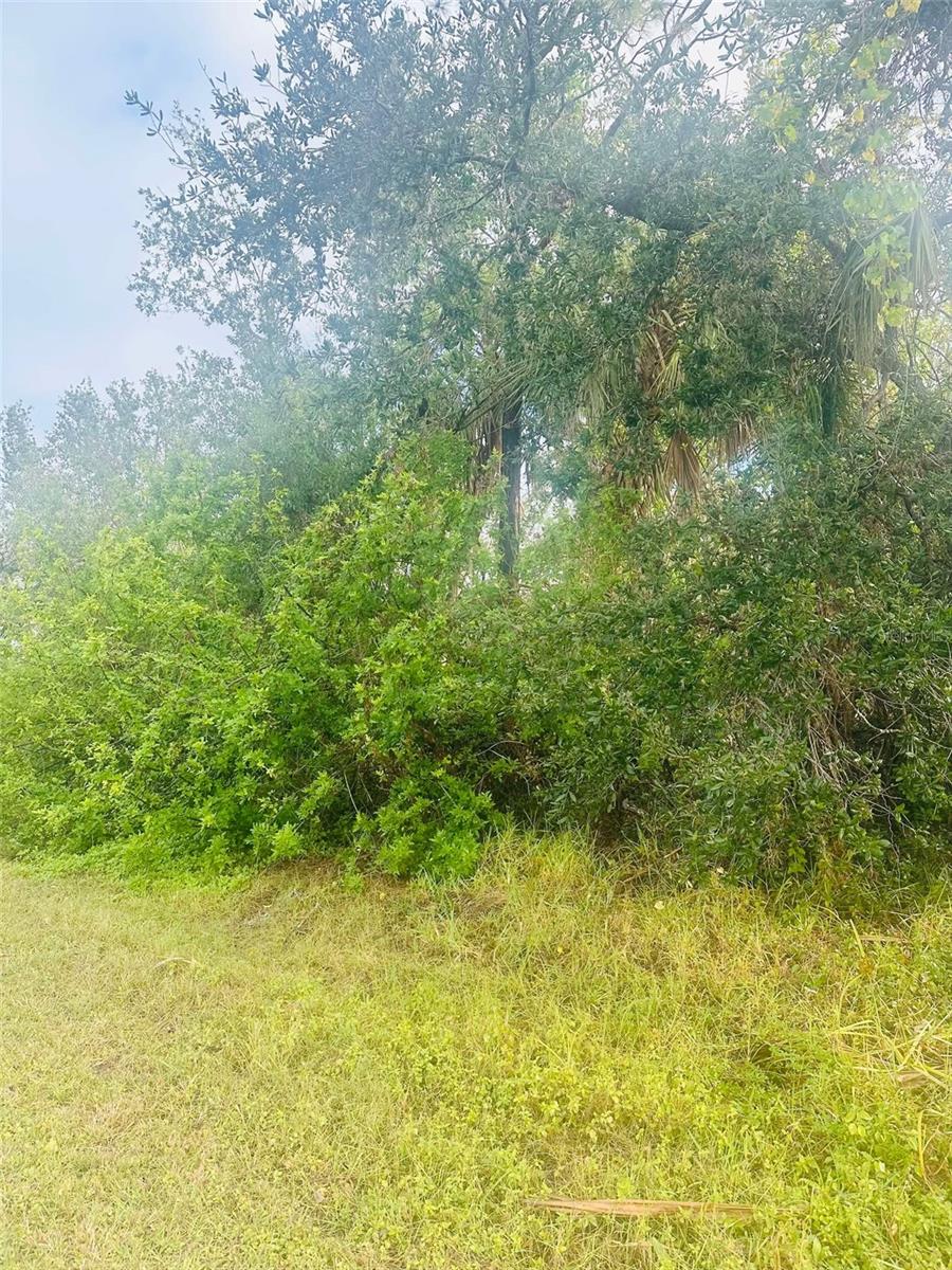 4322 SHAPPELL ST, PORT CHARLOTTE, FL, 33948