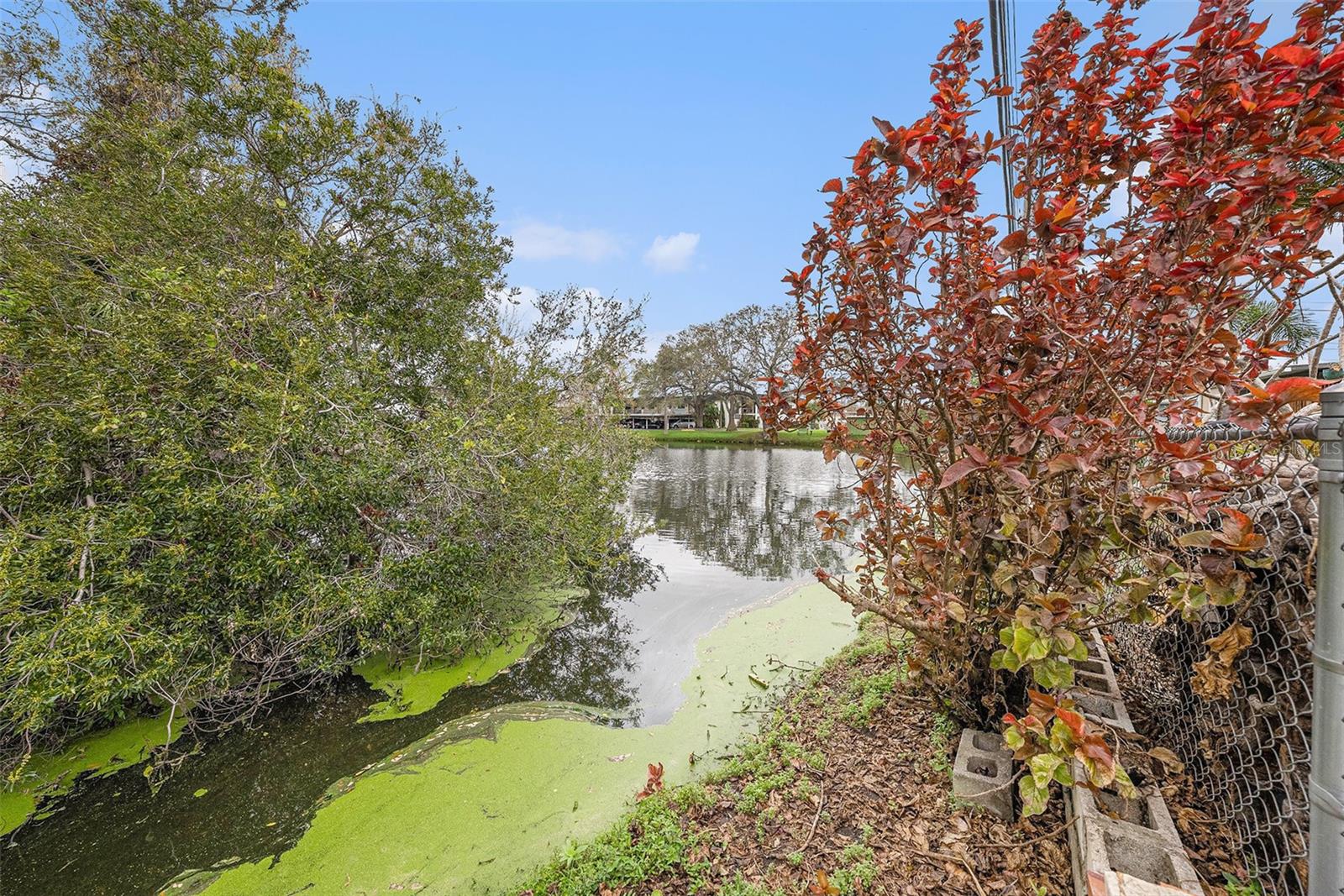 1768 SUFFOLK DR, CLEARWATER, FL, 33756