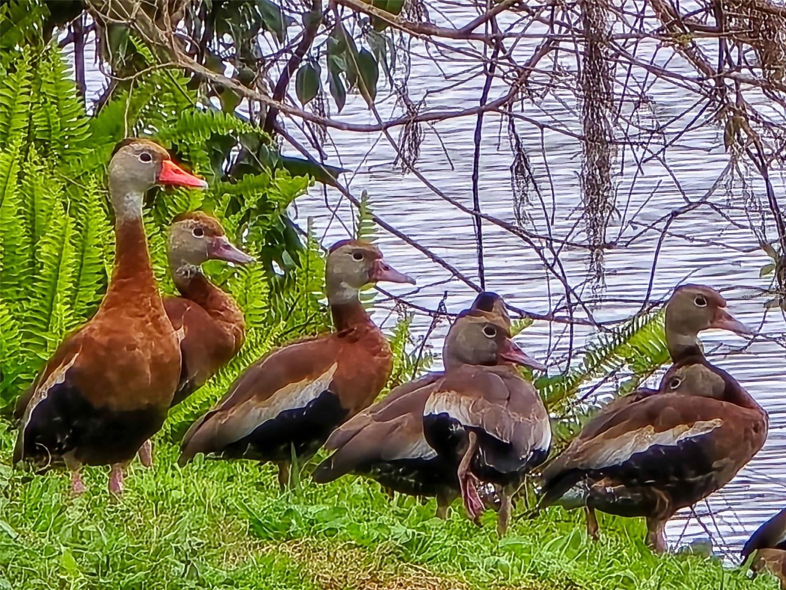 623 OAK HILL CIR #28, SARASOTA, FL, 34232