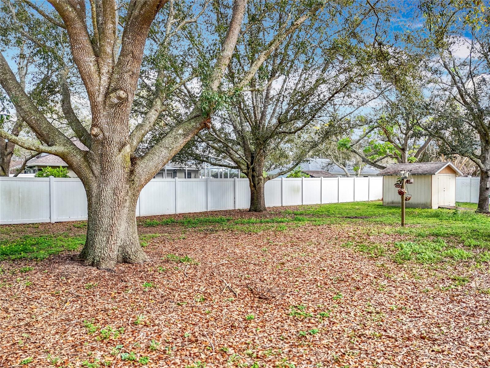37042 SANDY LN, GRAND ISLAND, FL, 32735