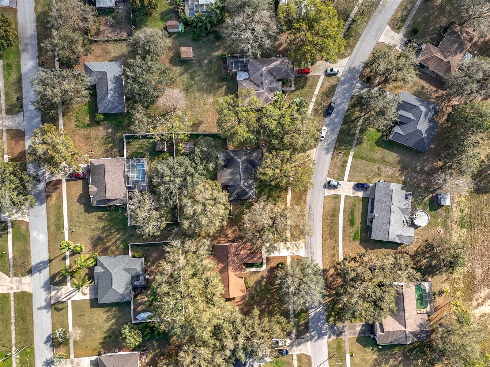 37042 SANDY LN, GRAND ISLAND, FL, 32735